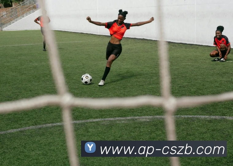 彩神争霸服务体系